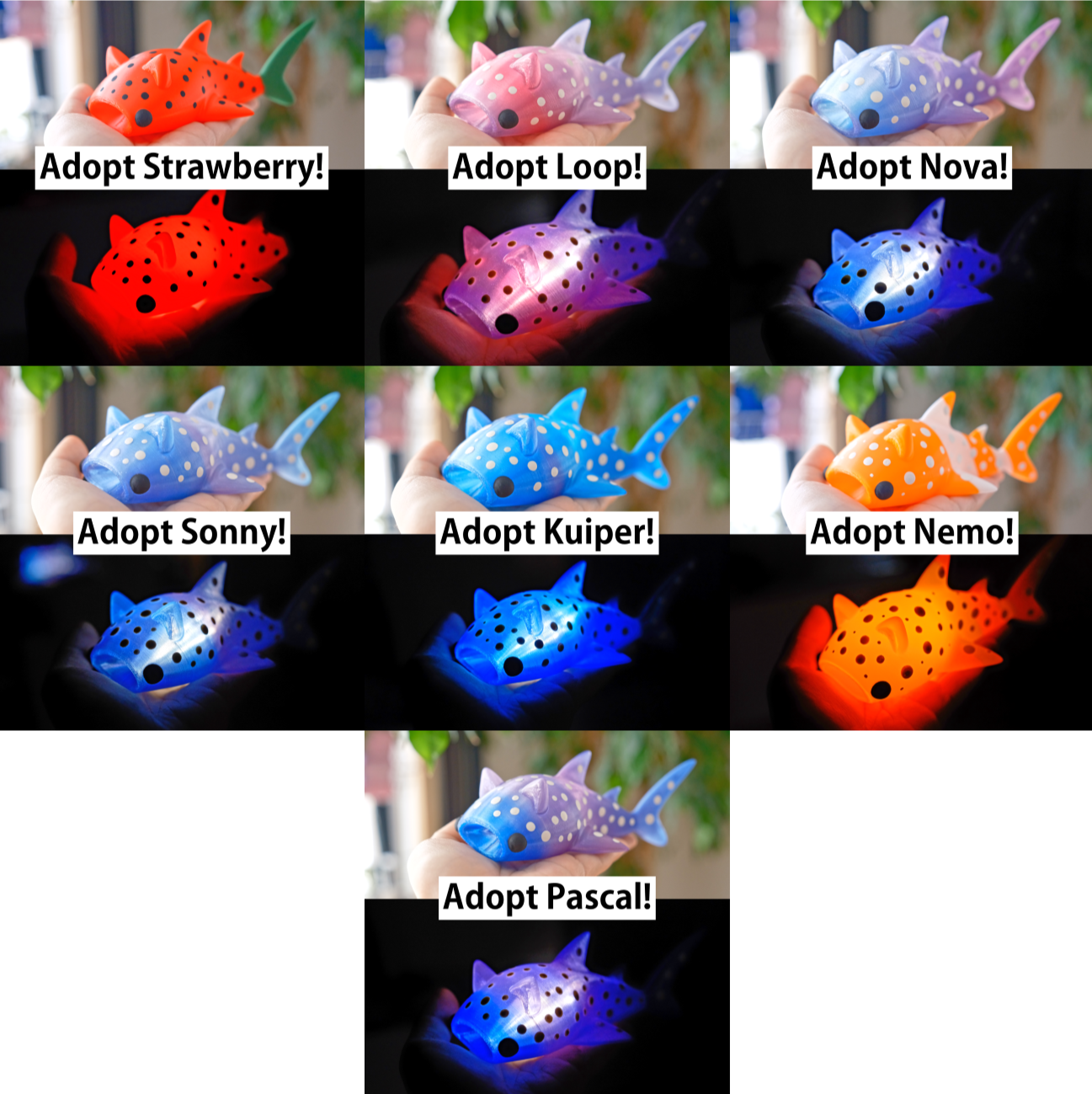 Cat Whale Shark Fidget Light