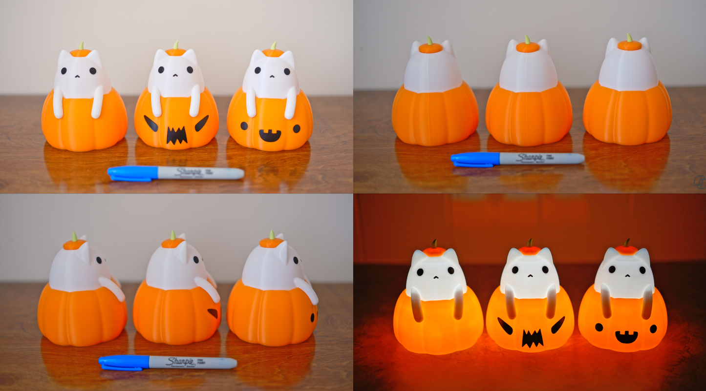 Cat in a Pumpkin Lamp