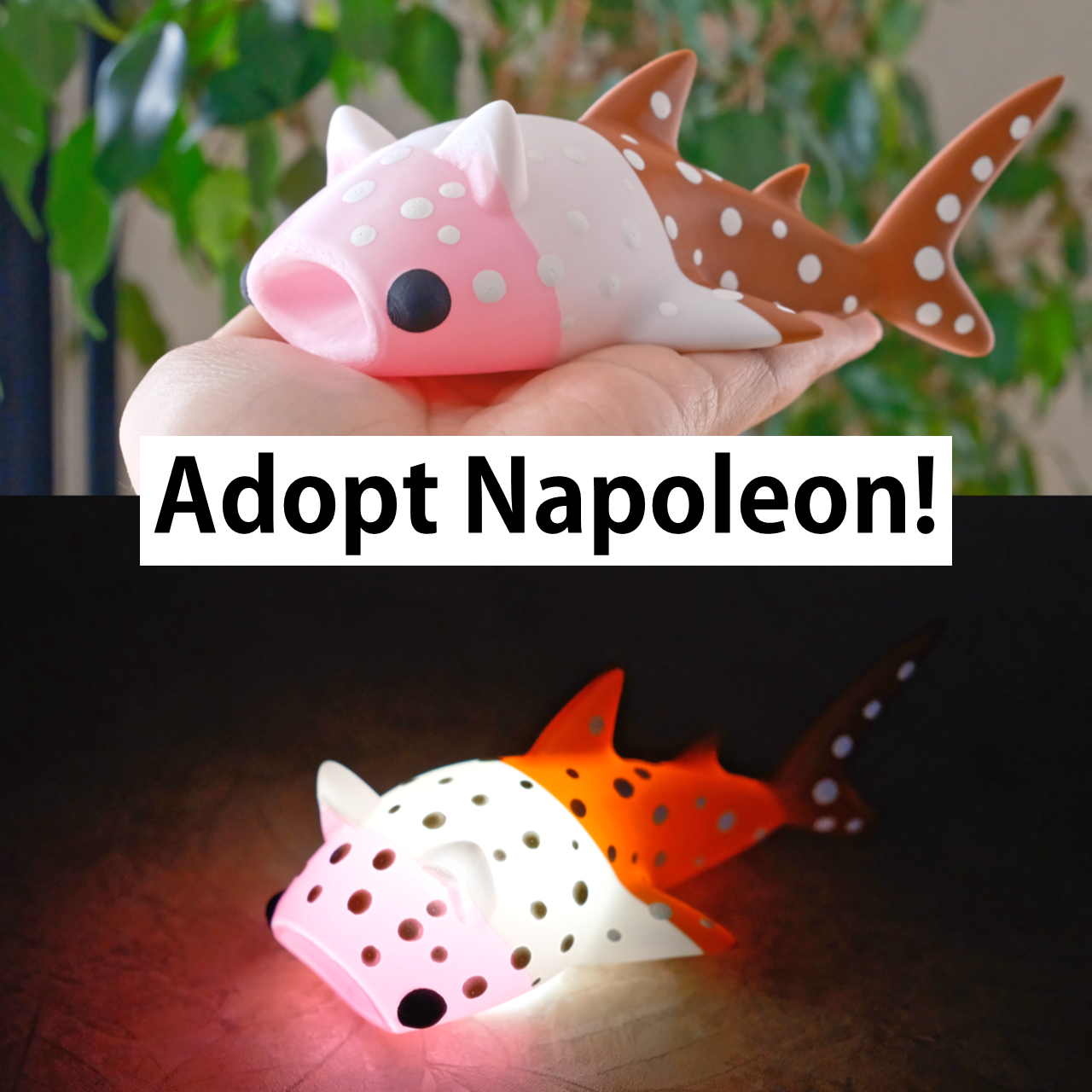 Cat Whale Shark Fidget Light