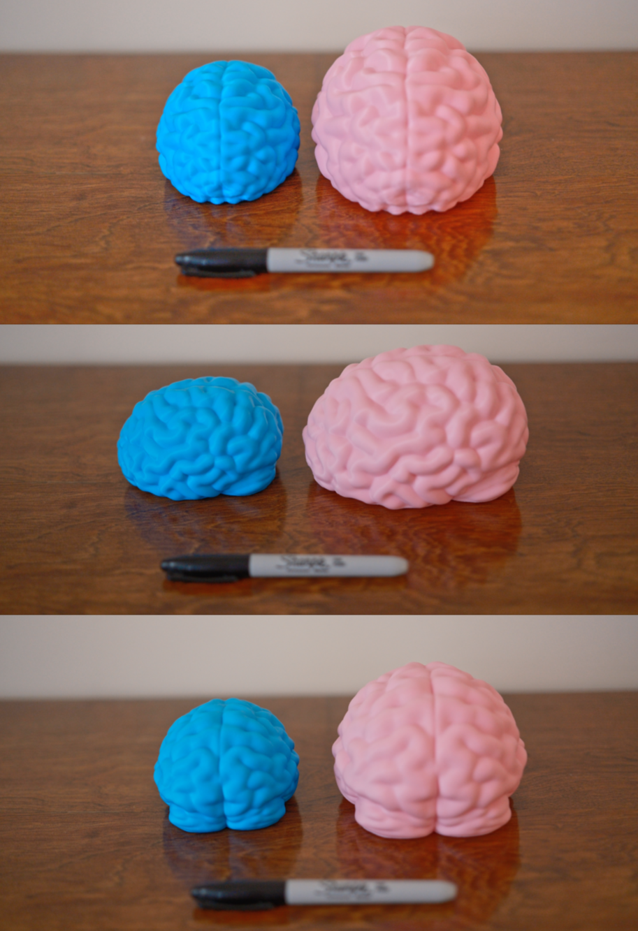 Brain LED Light