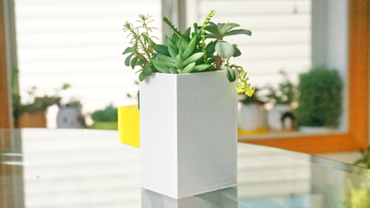 Minecraft Chicken Planter & Pen Holder