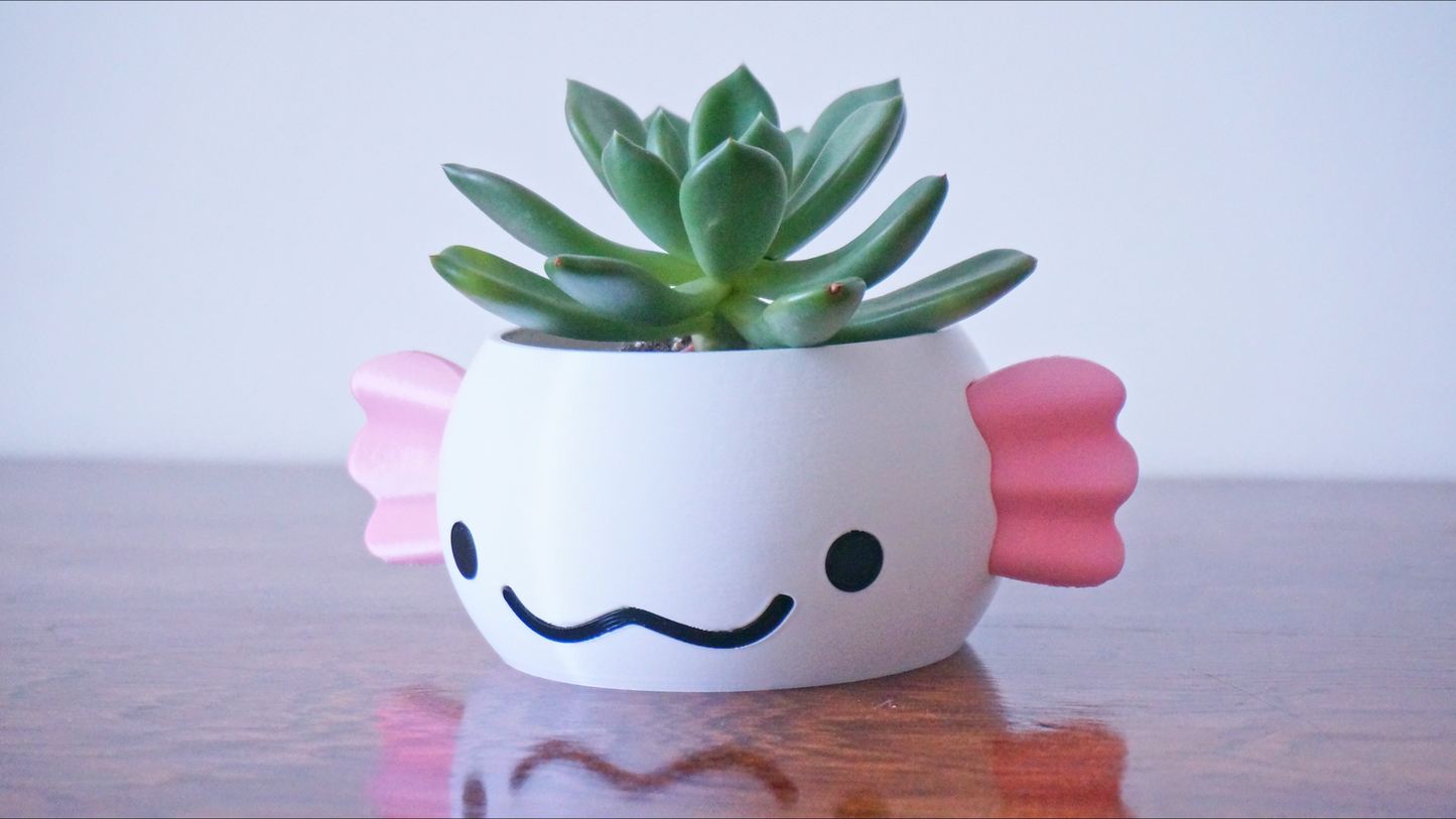 Axolotl Planter or Pen Holder