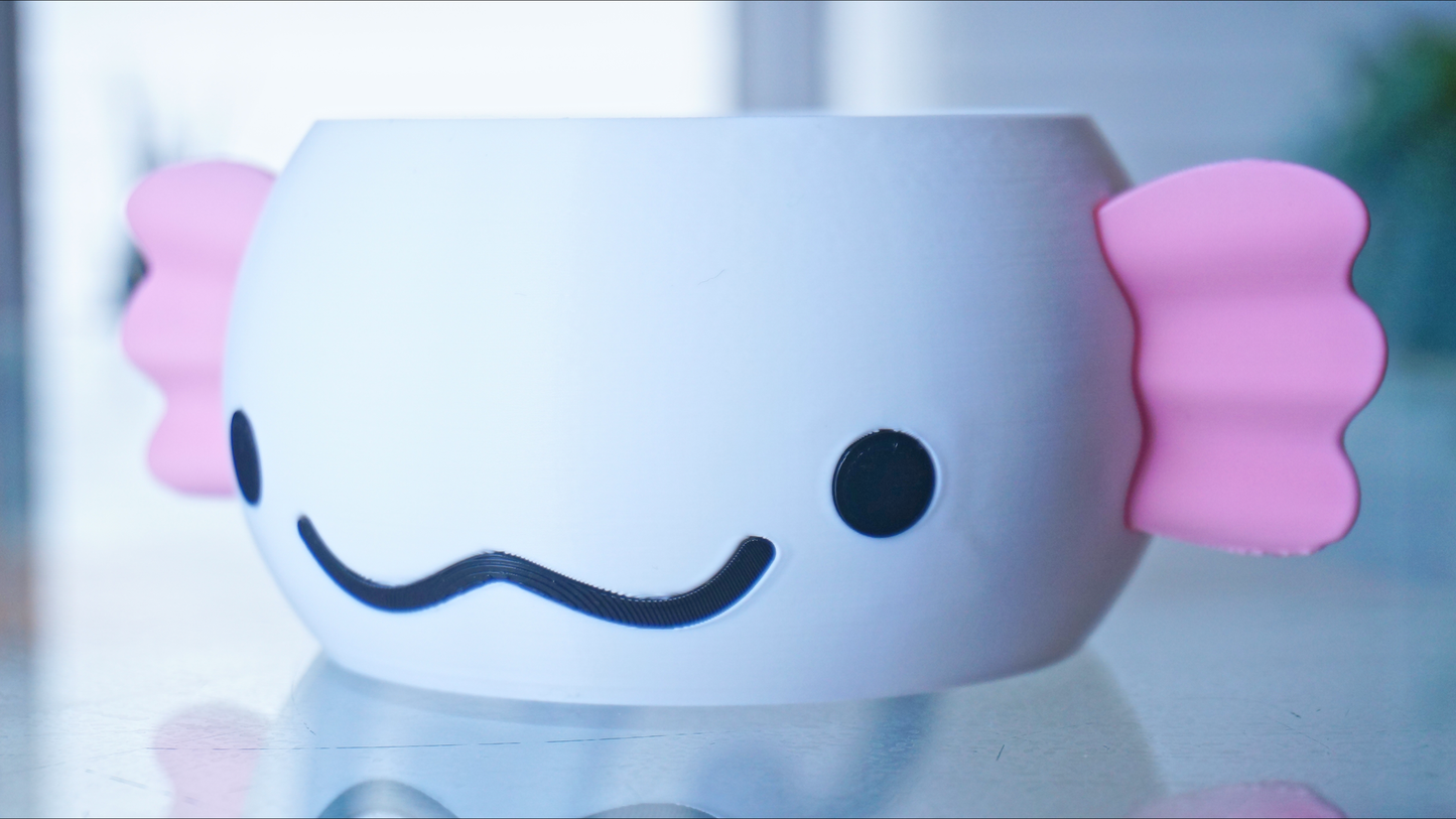Axolotl Planter or Pen Holder