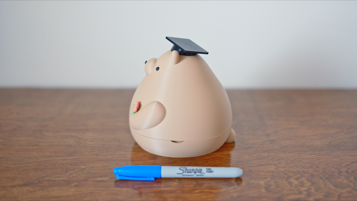 Graduation Bear Gift Capsule