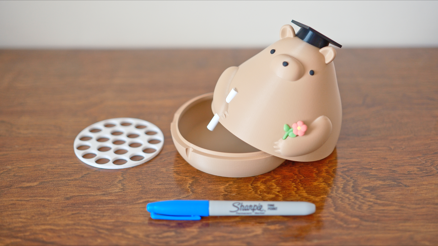 Graduation Bear Gift Capsule