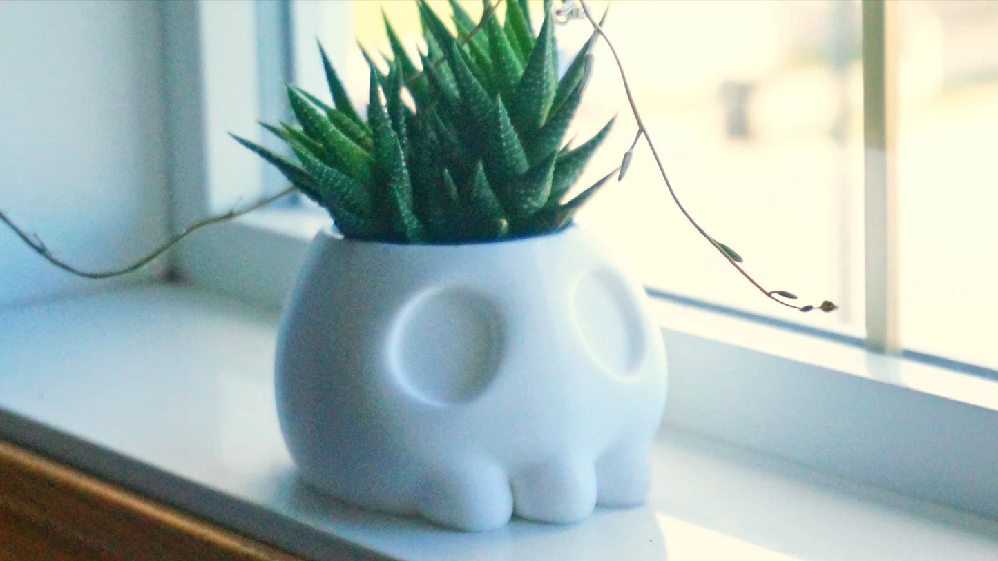 Skull Planter & Pen Holder