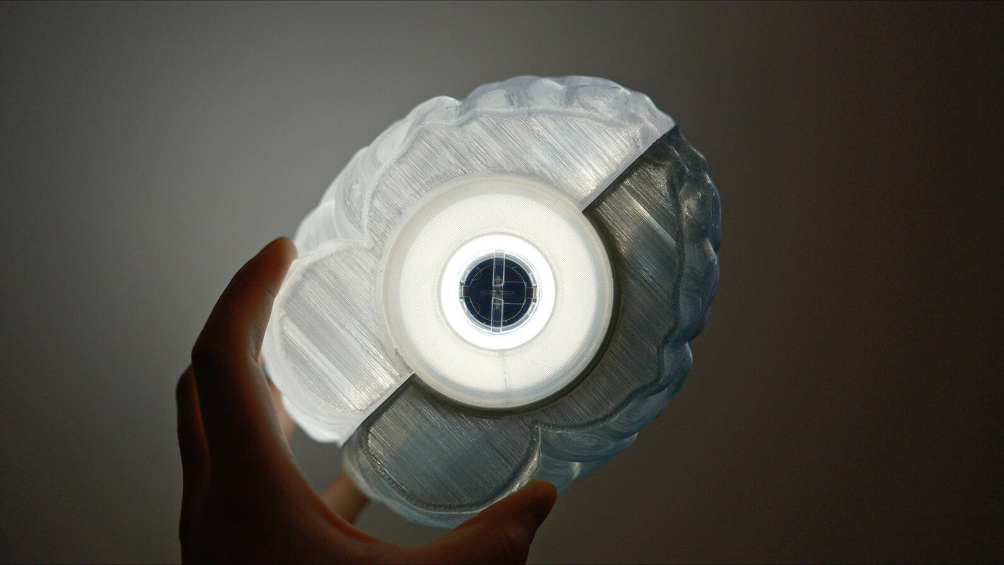 Split Brain LED Light