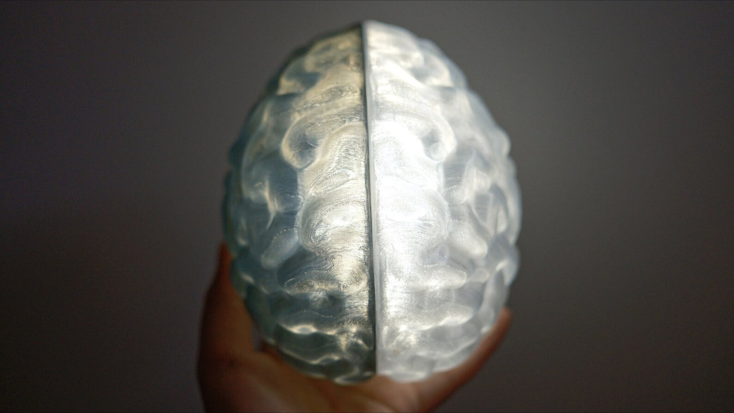 Split Brain LED Light