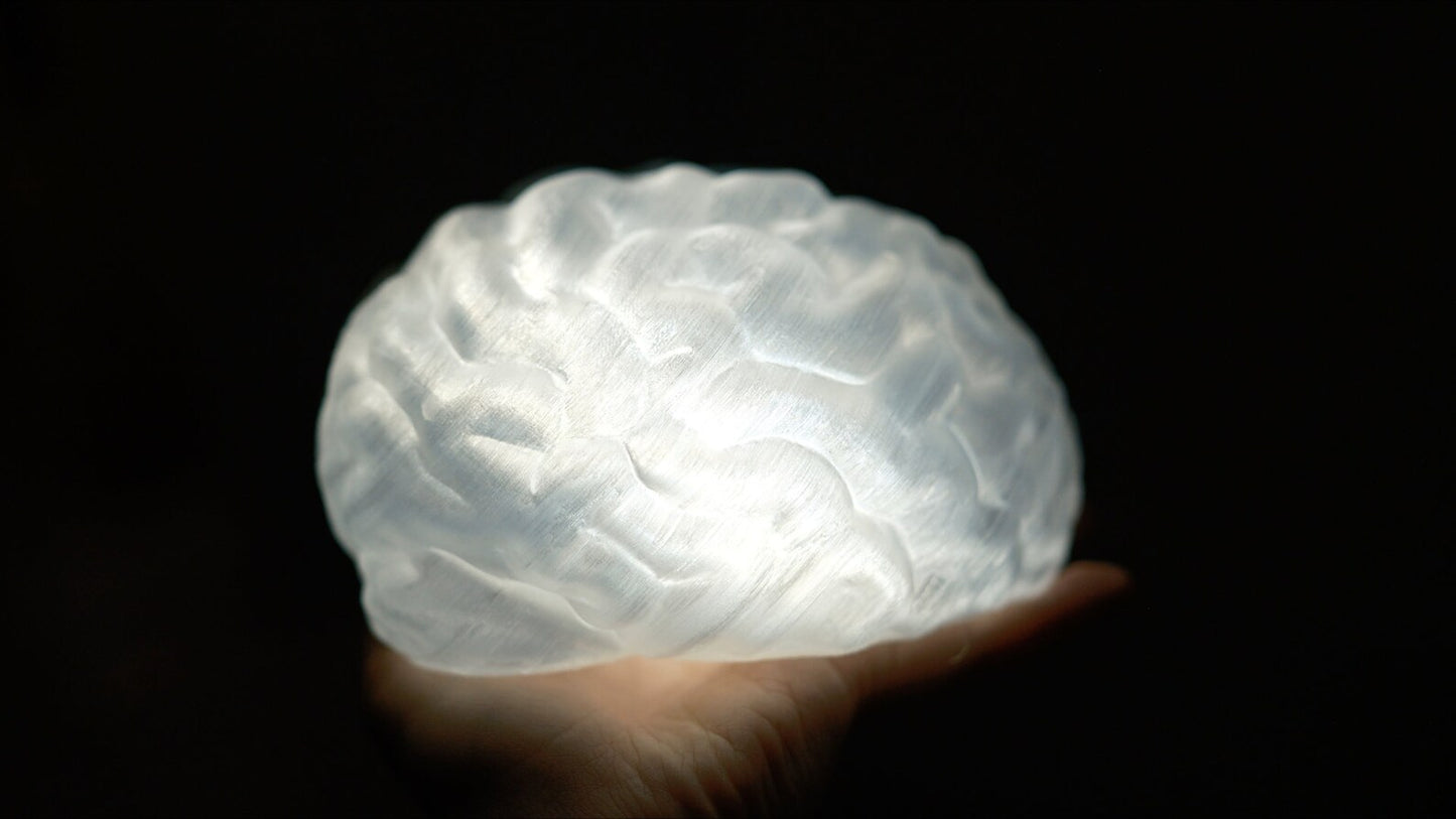 Split Brain LED Light