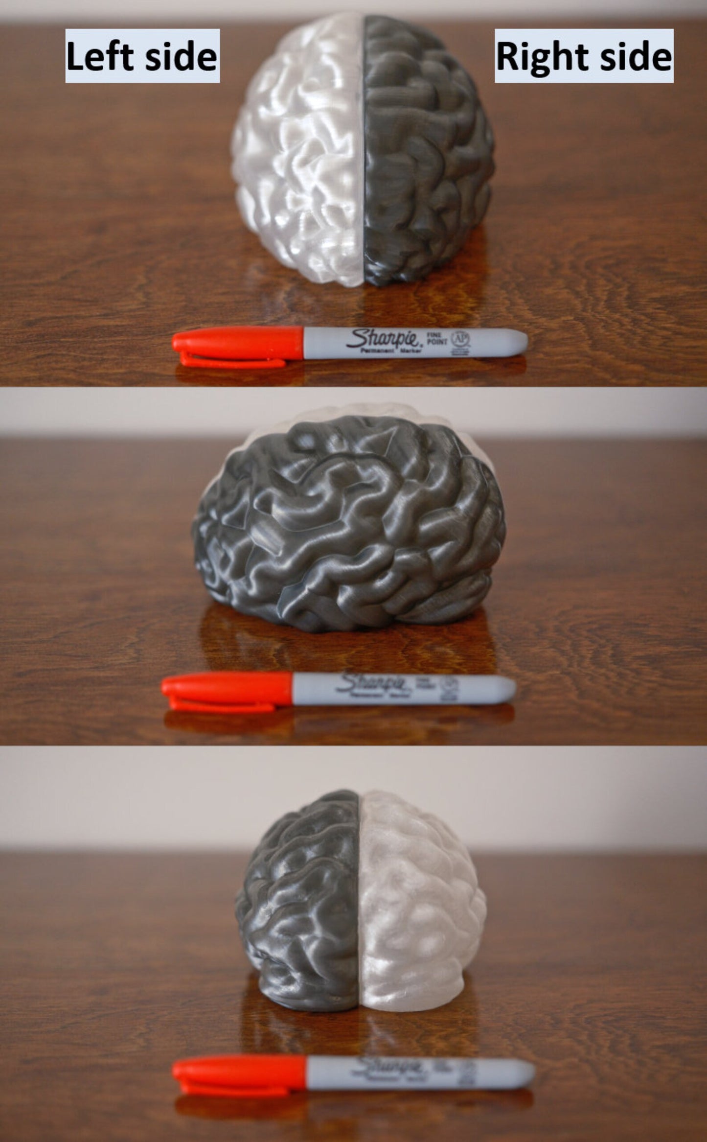 Split Brain LED Light