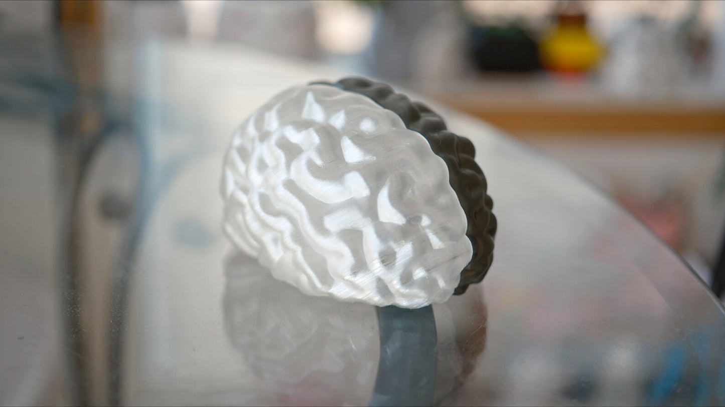 Split Brain LED Light