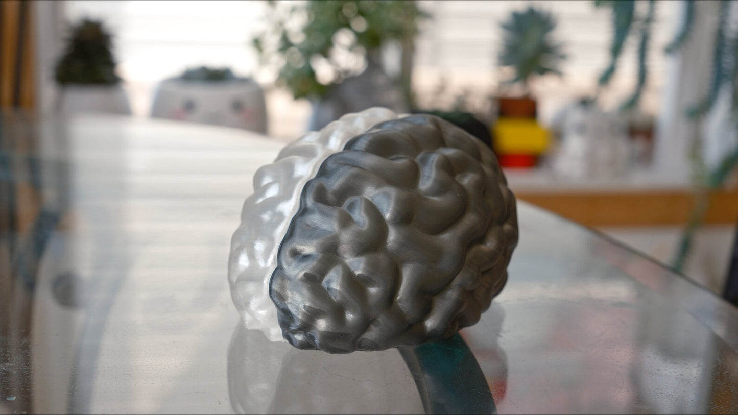 Split Brain LED Light