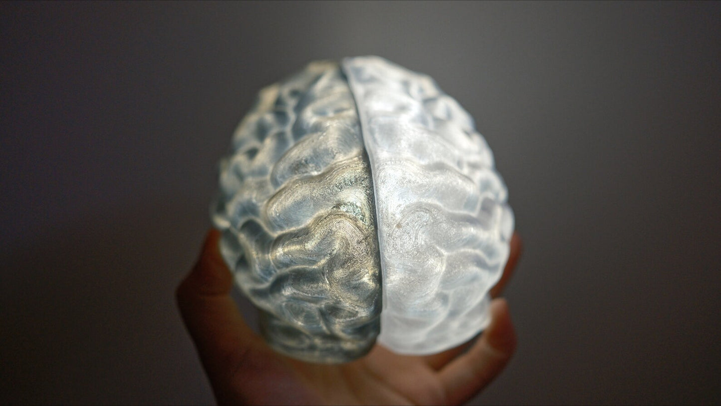 Split Brain LED Light