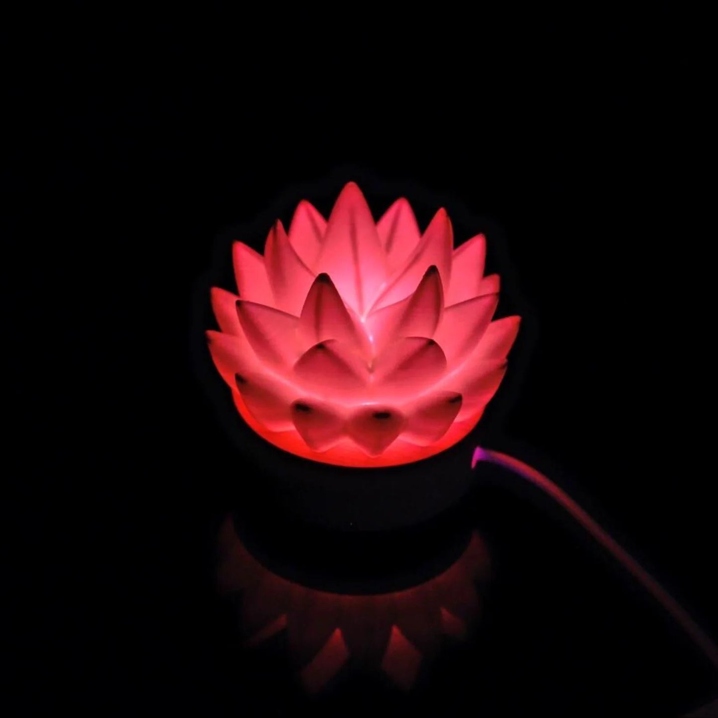 Succulent USB RC Light