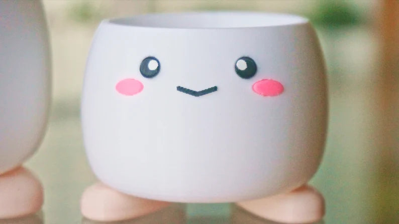 Cute Smiling Planter with Feet