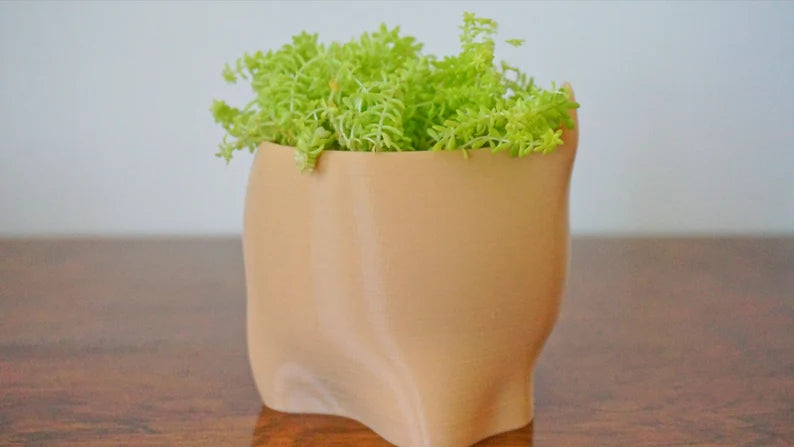 Baby Bear Planter & Pen Holder