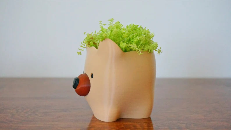 Baby Bear Planter & Pen Holder