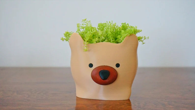 Baby Bear Planter & Pen Holder