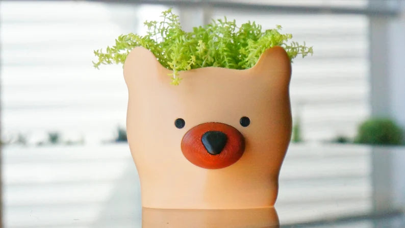 Baby Bear Planter & Pen Holder