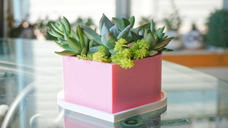 Heart Shaped Planter