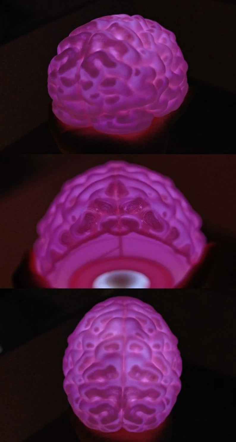 Brain LED Light
