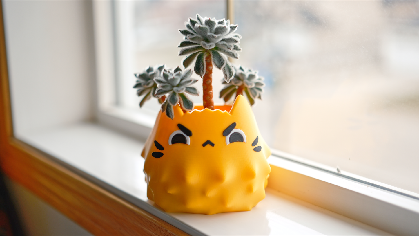 Angry Cat Planter & Pen Holder