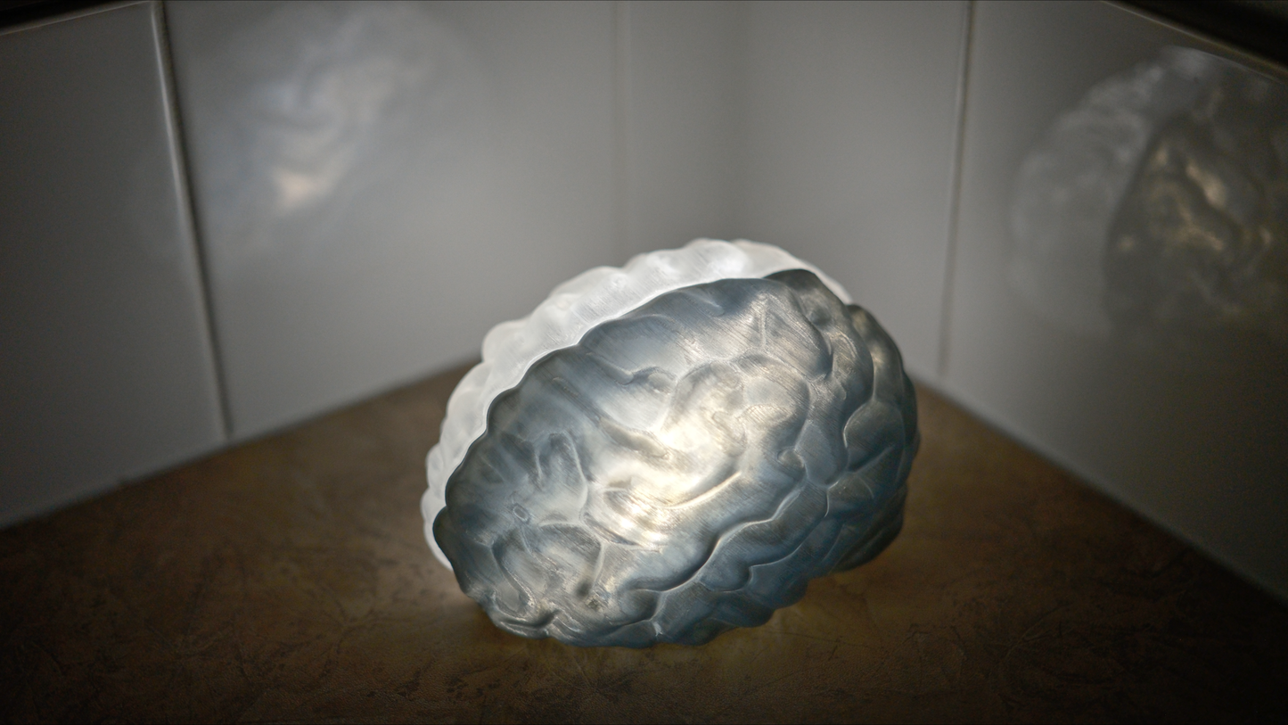 Split Brain LED Light