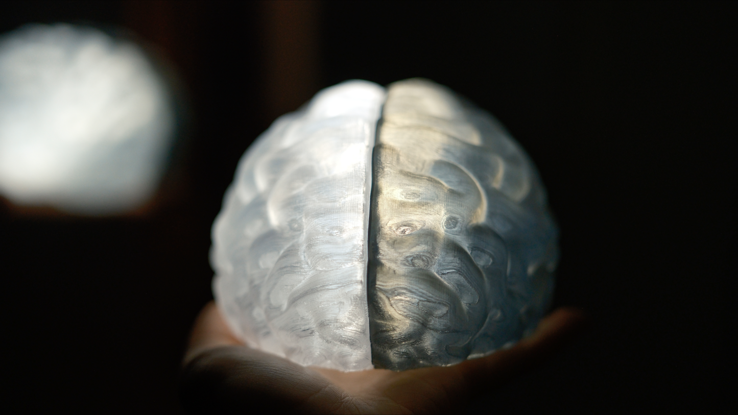 Split Brain LED Light