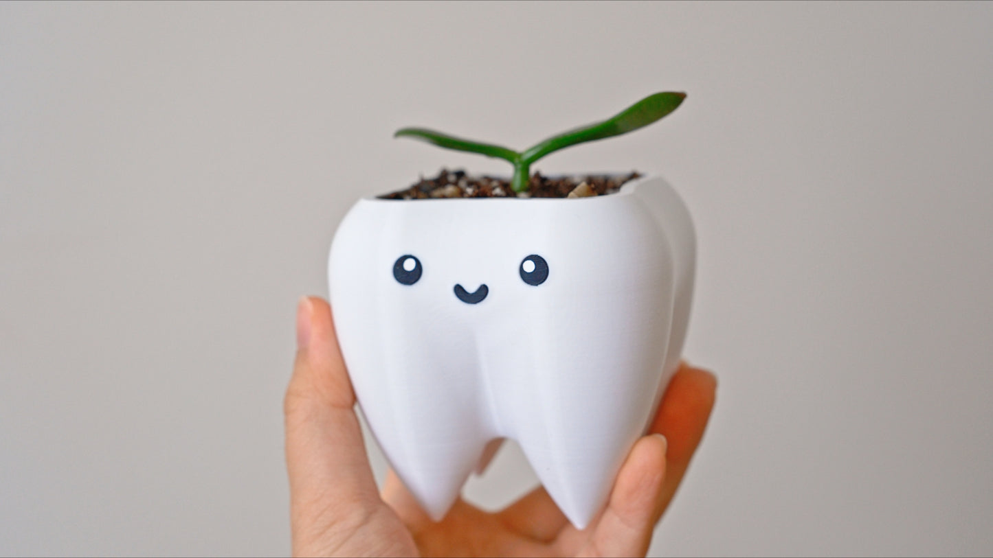 Tooth Planter & Pen Holder