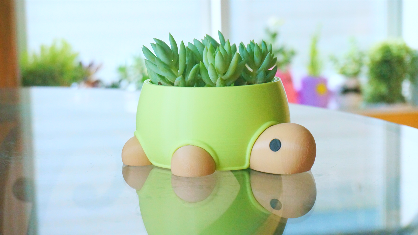 Turtle Planter / Stationery Organizer