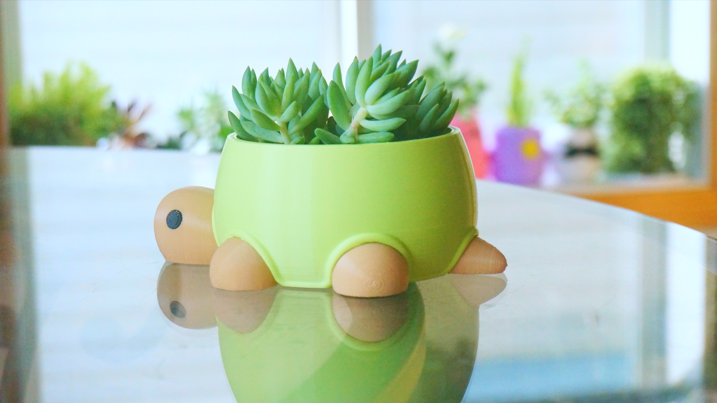 Turtle Planter / Stationery Organizer