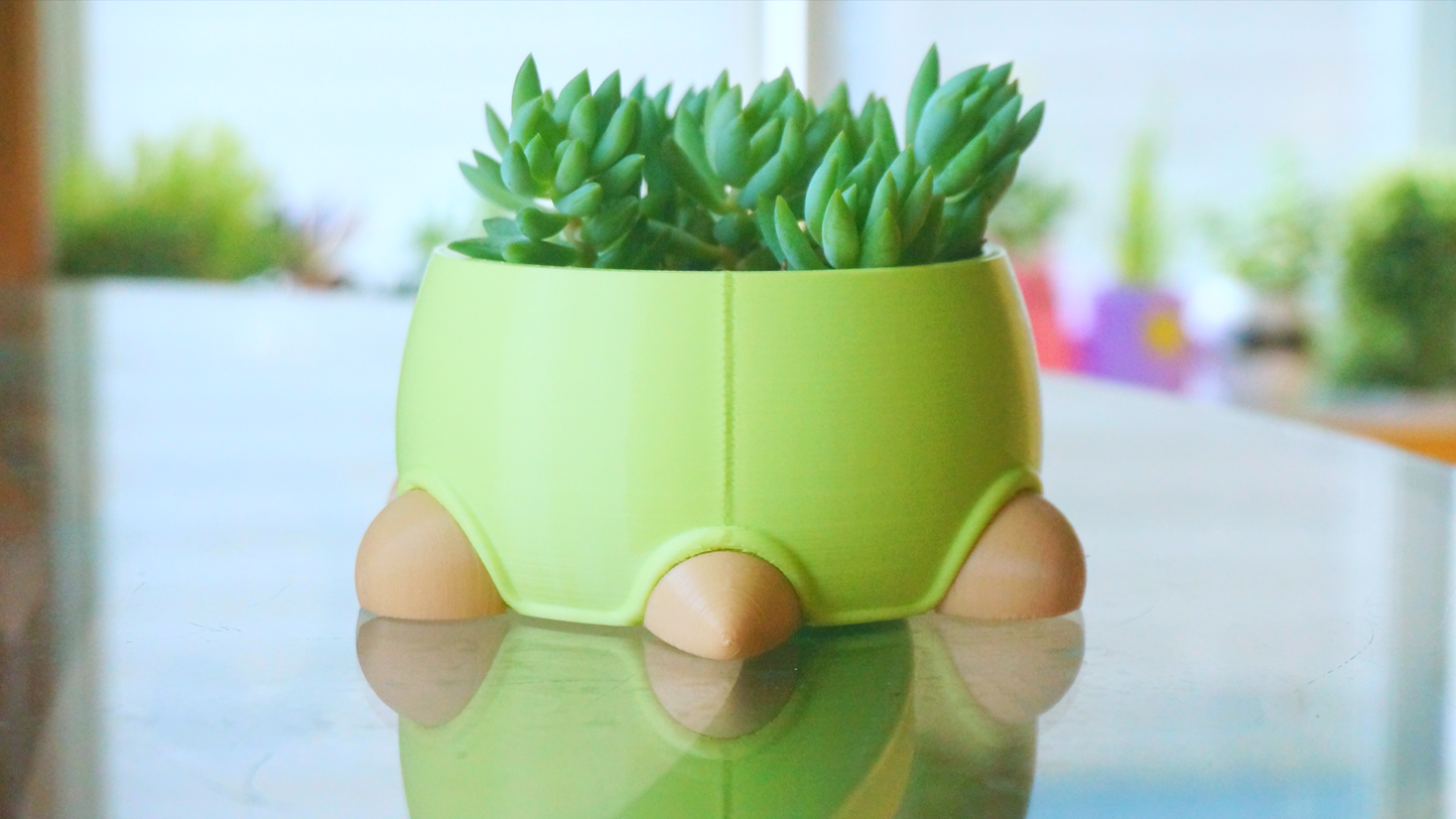 Turtle Planter / Stationery Organizer