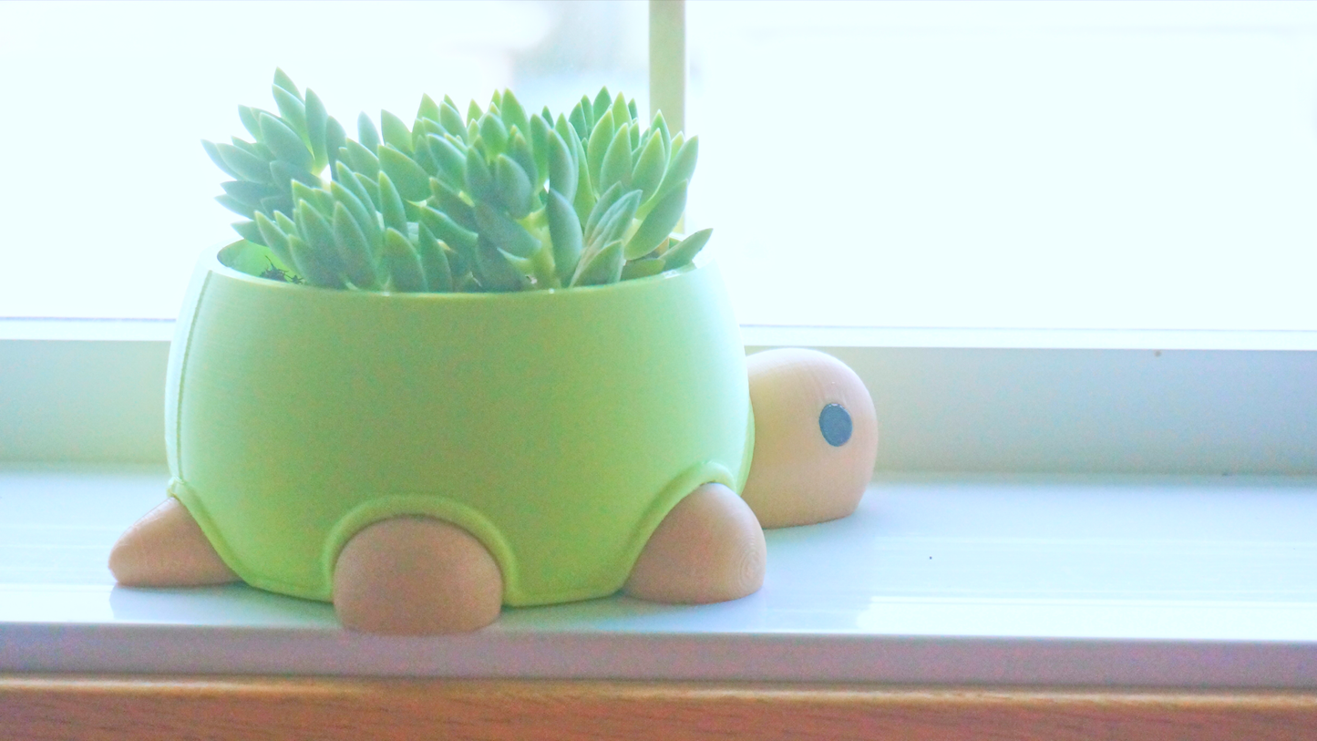 Turtle Planter / Stationery Organizer