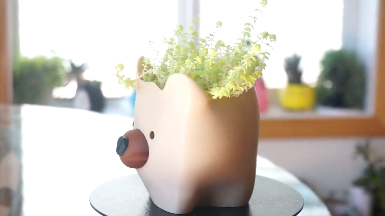 Baby Bear Planter & Pen Holder