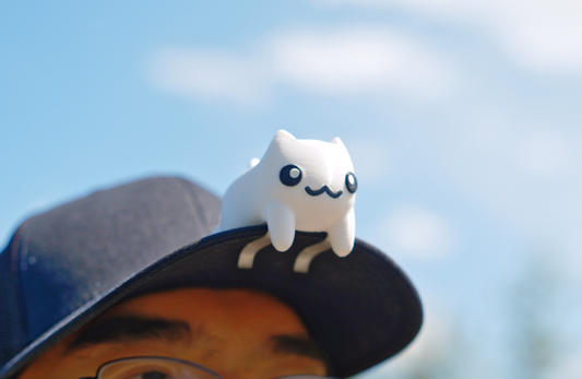 Cat Brim Buddy