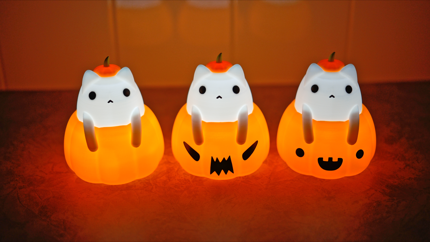 Cat in a Pumpkin Lamp