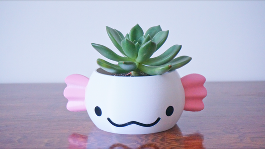 Axolotl Planter or Pen Holder