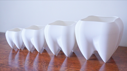 Tooth Planter & Pen Holder