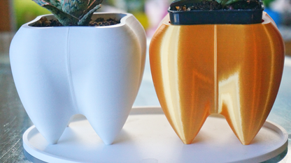 Tooth Planter & Pen Holder
