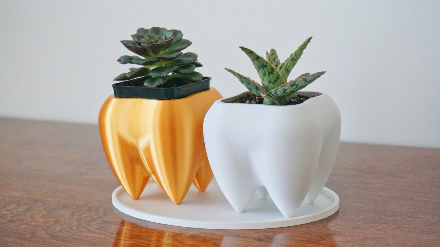 Tooth Planter & Pen Holder