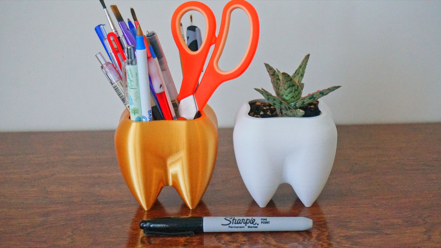 Tooth Planter & Pen Holder