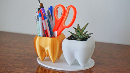 Tooth Planter & Pen Holder