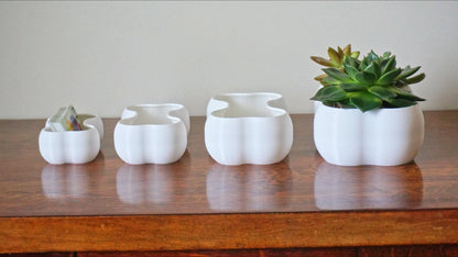 Bone Shaped Planter