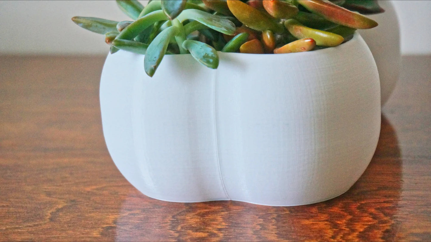 Bone Shaped Planter