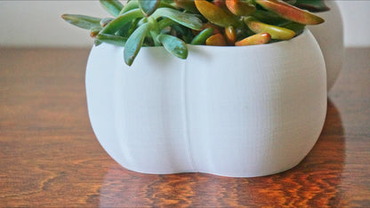 Bone Shaped Planter