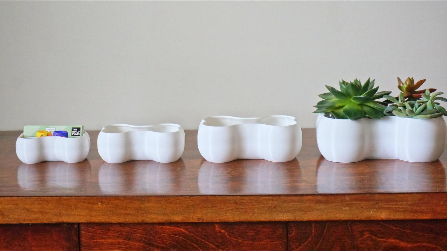 Bone Shaped Planter