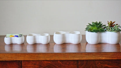 Bone Shaped Planter