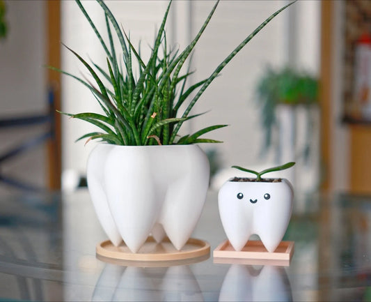 Tooth Planter & Pen Holder