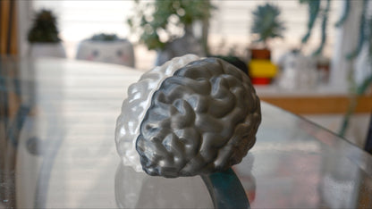 Split Brain LED Light