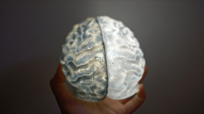 Split Brain LED Light